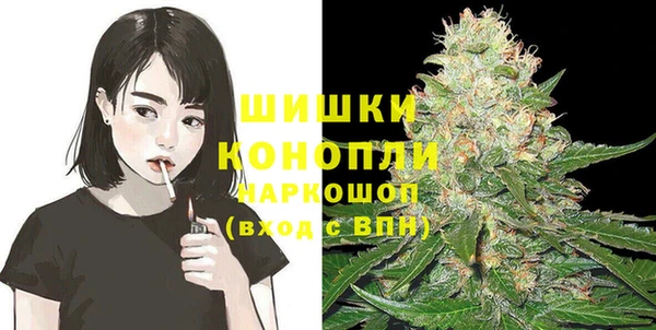 шишки Наволоки