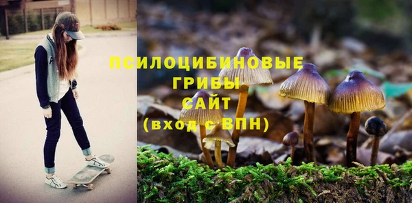первитин Нея
